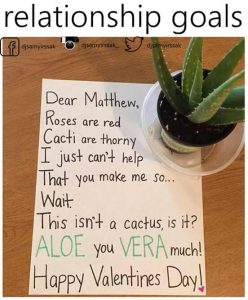 Aloe Vera Much Meme