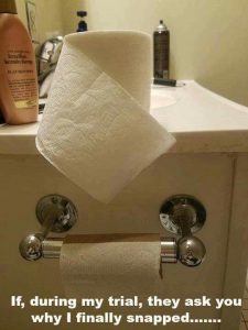 Empty toilet paper roll meme
