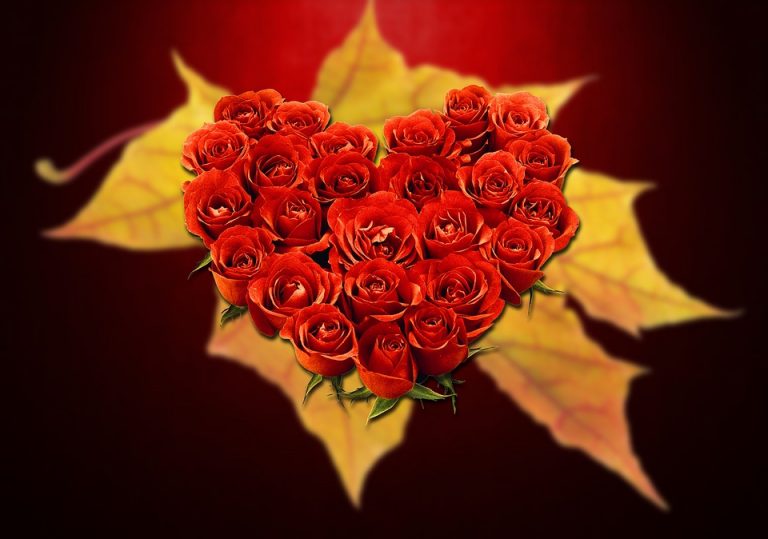 love and emotions and security