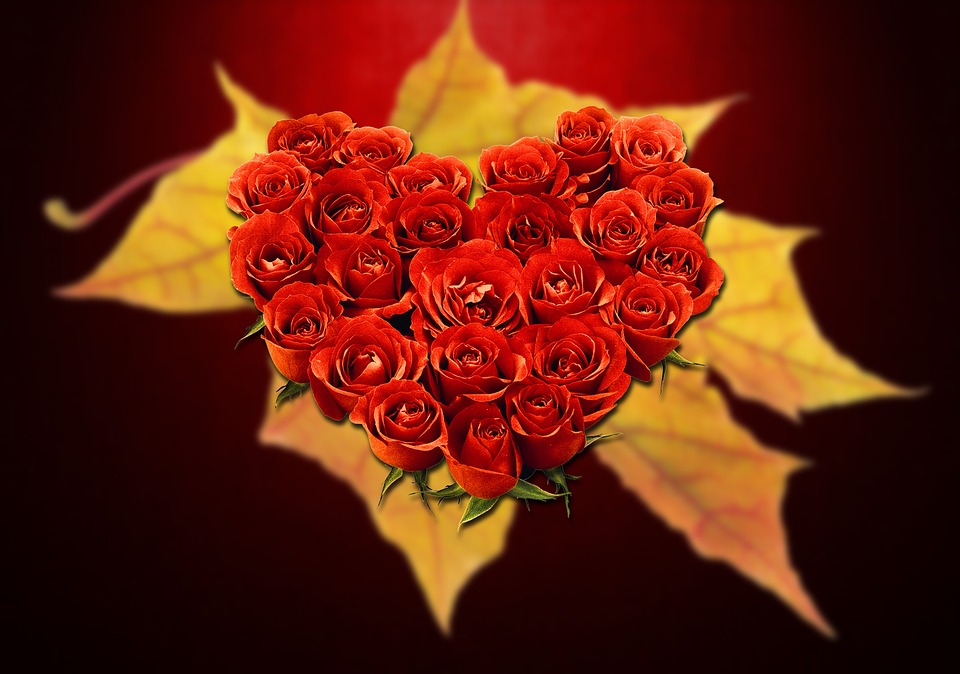 love and emotions and security