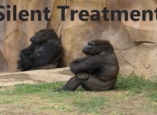 Silent Treatment in Marriage: How to Respond (and When It’s Abuse)